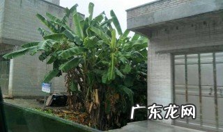 天气热怎么降热 天气热有什么办法降温