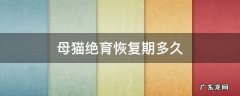 母猫绝育恢复期多久正常吃饭 母猫绝育恢复期多久