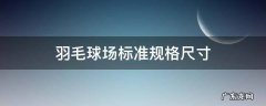 羽毛球场标准规格尺寸 标准羽毛球场地尺寸多少