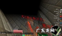 我的世界永久失明指令加反胃 我的世界永久失明指令
