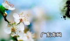 孝服麻绳怎么系 孝麻绳怎么处理