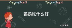 虎皮鹦鹉吃什么好 鹦鹉吃什么好