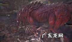 怪物猎人世界兽龙硬币怎么得 怪物猎人世界 兽龙硬币怎么获得