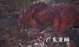怪物猎人世界兽龙硬币怎么得 怪物猎人世界 兽龙硬币怎么获得