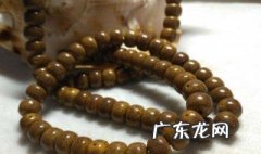 星月菩提发霉了怎么补救 星月菩提发霉了还能养回来吗