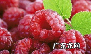 吃覆盆子的功效与作用 覆盆子吃了有什么好处