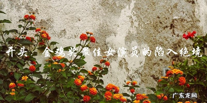 她是金鸡奖最佳女演员,却因一场谋杀案陷入绝境!