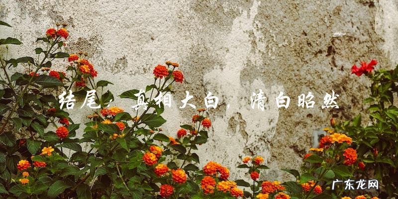 她是金鸡奖最佳女演员,却因一场谋杀案陷入绝境!