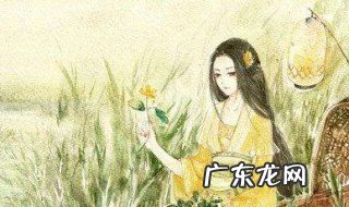 关雎中总领全文的句子 关雎哪两句统领全文