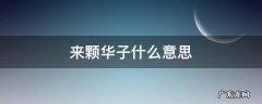 来颗华子什么意思 什么叫来根华子