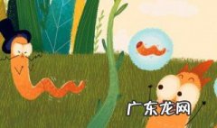 蚯蚓干些什么好吃 蚯蚓干些什么