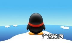 qq相册如何查找前面的照片信息 qq相册如何查找前面的照片