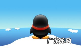 qq相册如何查找前面的照片信息 qq相册如何查找前面的照片