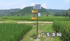 户外驱蚊方法 最有效 户外驱蚊方法