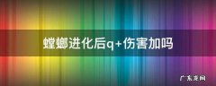 螳螂进化错了怎么办 螳螂进化后q