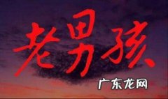 电影老男孩主要讲了什么 电影老男孩主要讲了什么故事