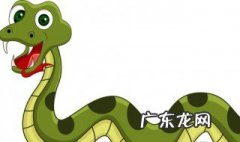 什么动物吃蛇 什么动物吃蛇是第一名