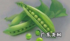 青豆虫的图片 青豆虫怎么养殖繁育?
