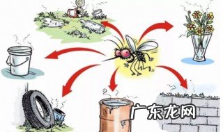 蚊子飞行距离有多远 蚊子的飞行距离