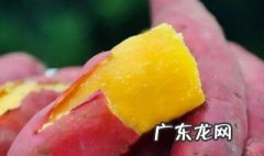 地瓜的热量和减肥功效 地瓜的热量