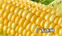 水果玉米和糯玉米热量 水果玉米和糯玉米热量高吗