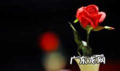 哪些花开花时间与昆虫活动的时间有关 来这里了解下