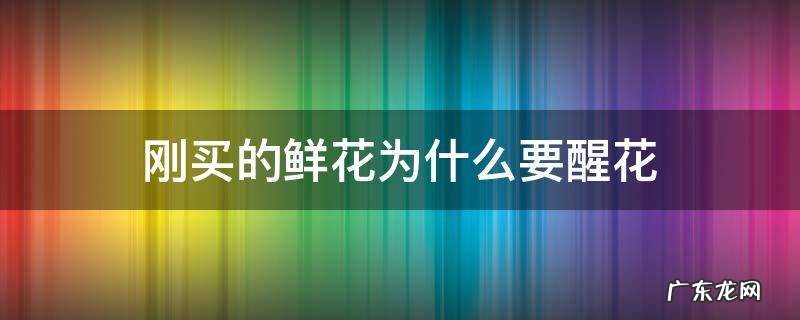 刚买的花需要醒花吗? 刚买的鲜花为什么要醒花