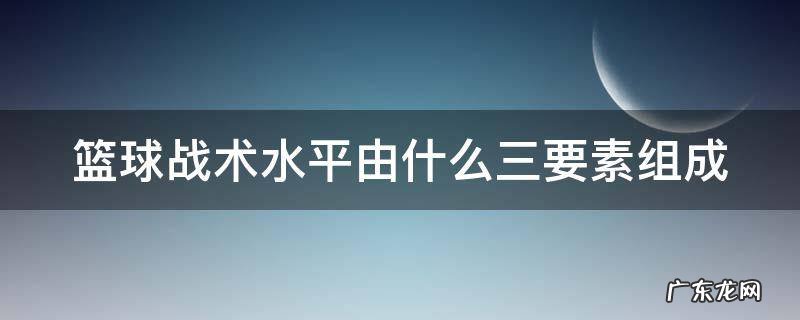 篮球战术水平由什么三要素组成 篮球战术三要素分别是?