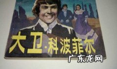 大卫科波菲尔高中节选故事梗概 大卫科波菲尔故事梗概
