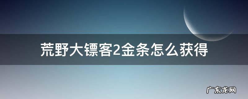 荒野大镖客2金条怎么获得 荒野大镖客2金条获取