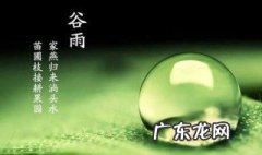 中医里关于谷雨节气的说法有哪些 中医里关于谷雨节气的说法