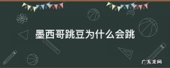 墨西哥跳豆为什么会跳 墨西哥跳跳车