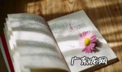 夫妻共度余生的经典语录句子 夫妻共度余生的经典语录