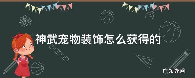 神武手游宠物佩戴装饰 神武宠物装饰怎么获得的