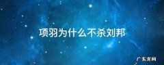 项羽为什么不杀刘邦 项羽为什么不杀刘邦?300字