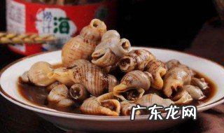 海螺肉怎么做 海螺狮怎么吃不断
