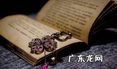 红楼梦第五十八回概括 红楼梦第五十八回概括200字左右的