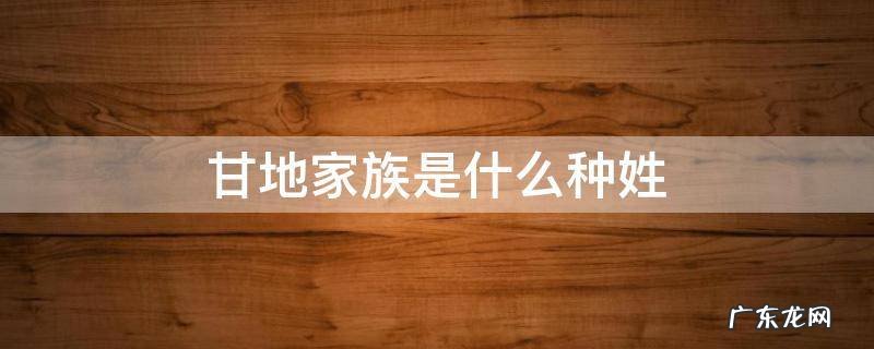 甘地和甘地家族 甘地家族是什么种姓