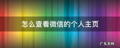 微信怎样看自己的主页 怎么查看微信的个人主页