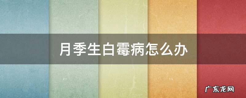 月季生白霉病怎么办 月季长白霉怎么办