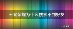 王者荣耀为什么搜索不到好友 王者荣耀为什么搜索不到好友战队