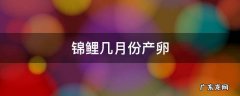 锦鲤几月份产卵 锦鲤的产卵繁殖期是几月份