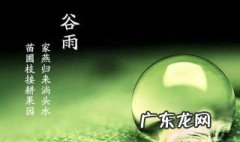 2020年谷雨节气的说法 2020年谷雨节气的说法正确的是