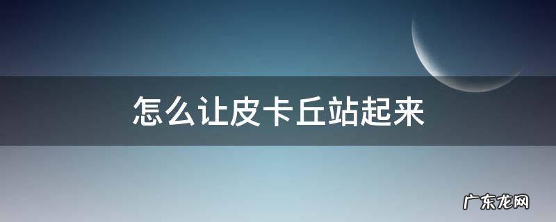怎样让皮卡丘站起来 怎么让皮卡丘站起来