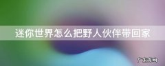 迷你世界怎么把野人伙伴带回家 迷你世界怎么把野人伙伴带回家玩