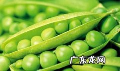 豌豆粒怎么吃好吃 豌豆粒可以怎么吃