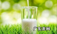 牛奶中营养价值 牛奶中营养价值排名