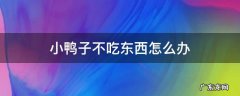刚买的小鸭子不吃东西怎么办 小鸭子不吃东西怎么办