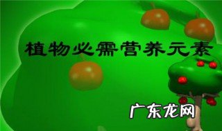 植物体内必需元素 植物体内必须的元素有多少种