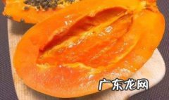 兔子可以吃木瓜片吗? 兔子可以吃木瓜片吗